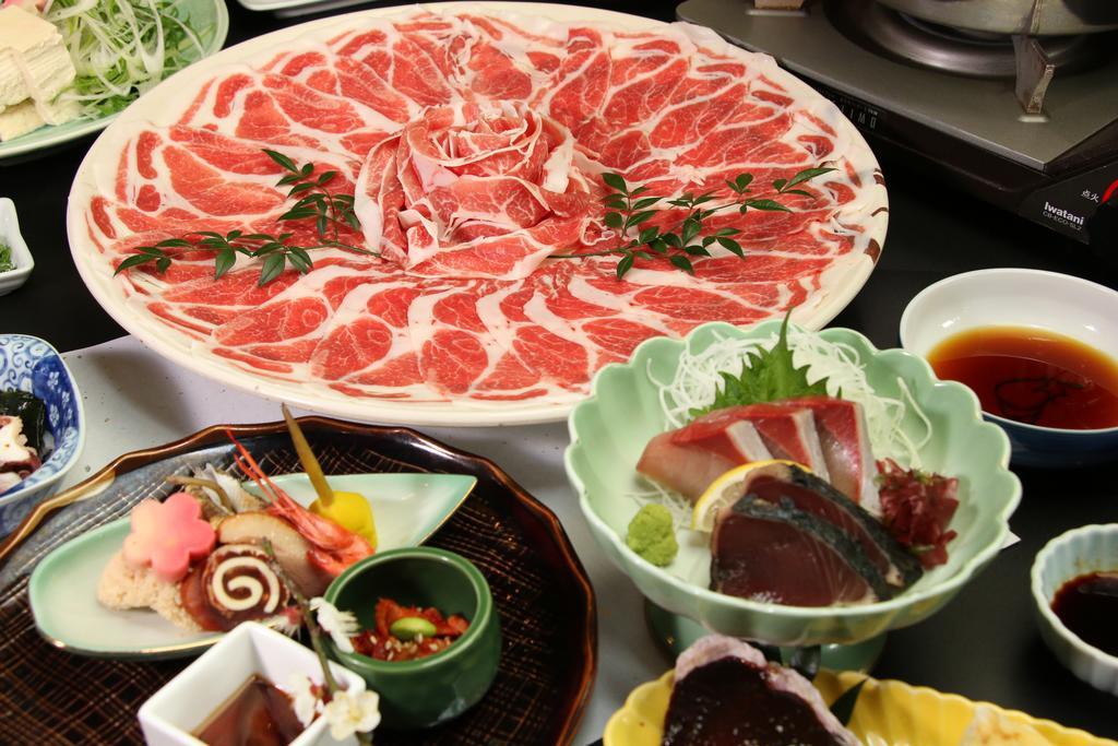 Miyakonojō 汤之元温泉传统日式旅馆酒店 外观 照片